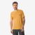 Yellow Ochre